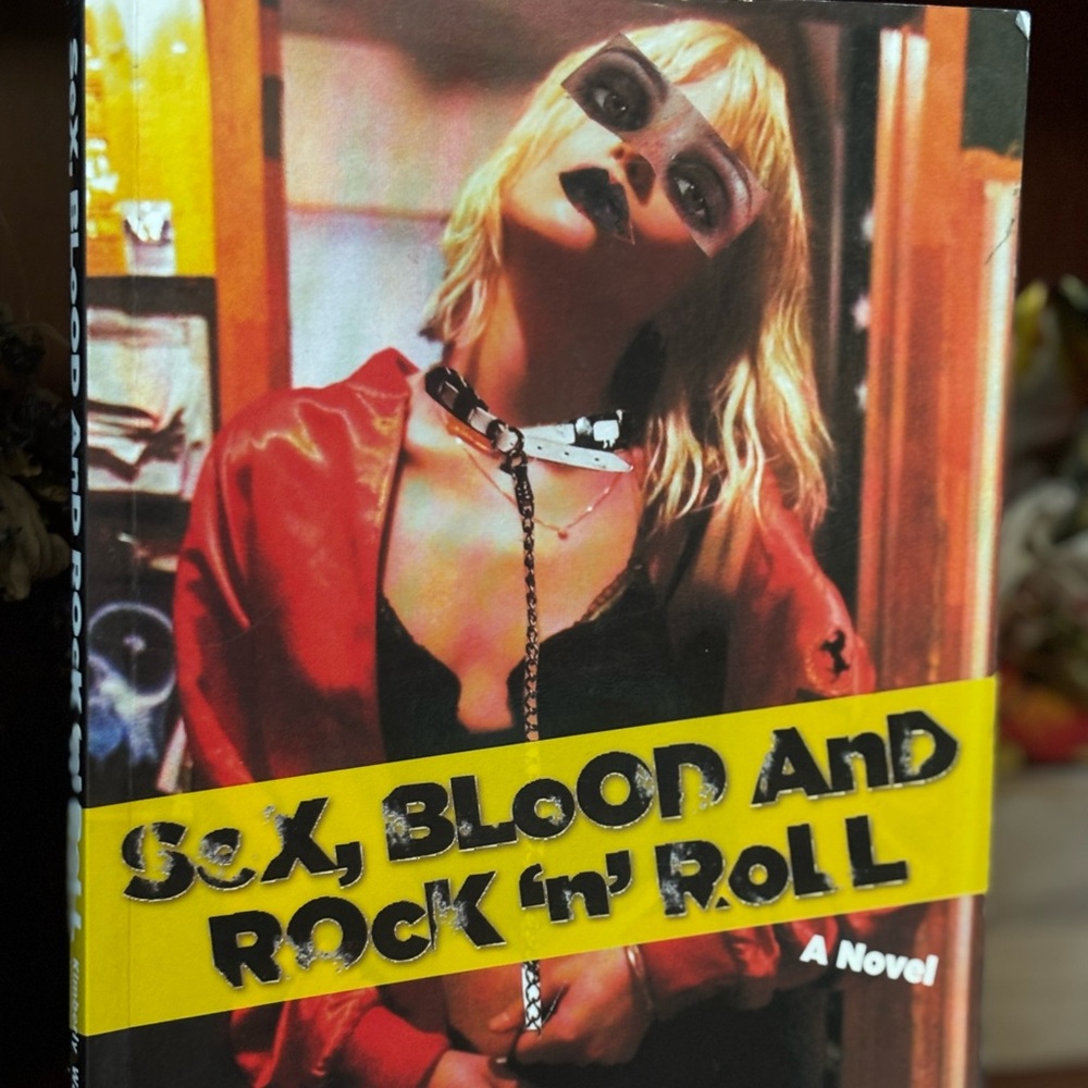 Sex, Blood and Rock 'n' Roll Novel Kimberly Warner-Cohen.paper back